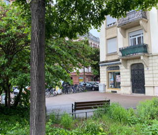 Open Space  2 postes Location bureau Rue de Verdun Strasbourg 67000 - photo 1